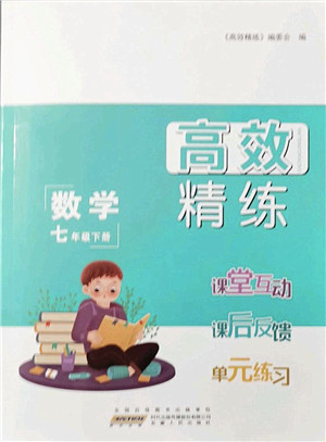 安徽人民出版社2022高效精练七年级数学下册苏科版答案