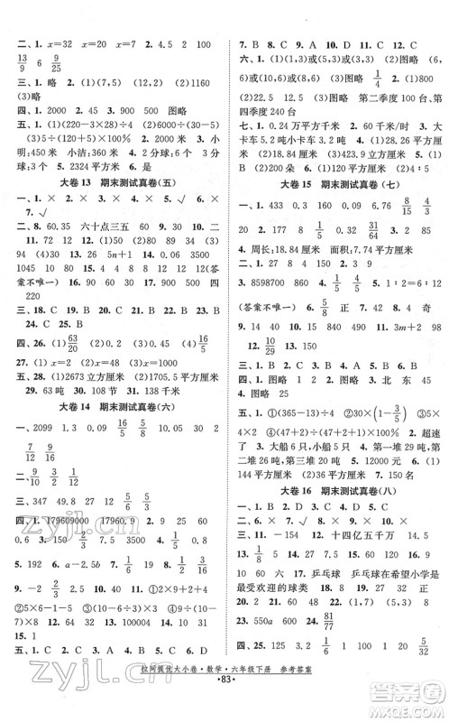 福建人民出版社2022拉网提优大小卷六年级数学下册SJ苏教版答案