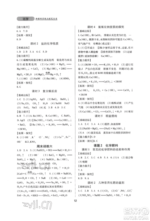 四川教育出版社2022新课程实践与探究丛书九年级下册化学人教版参考答案