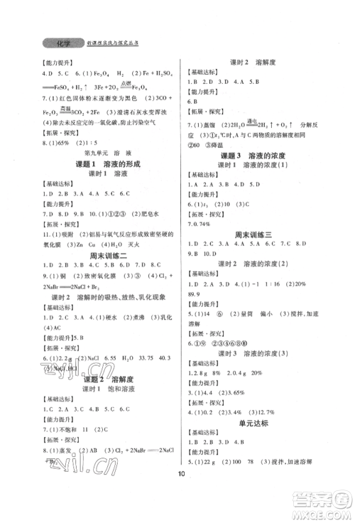 四川教育出版社2022新课程实践与探究丛书九年级下册化学人教版参考答案