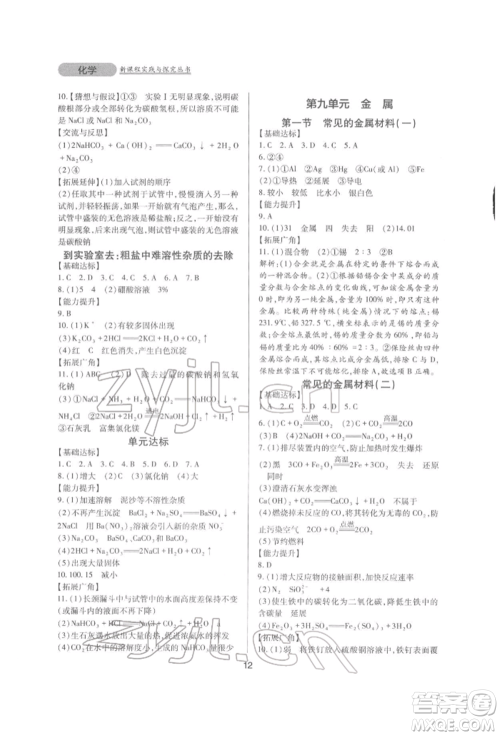 四川教育出版社2022新课程实践与探究丛书九年级下册化学山东教育版参考答案