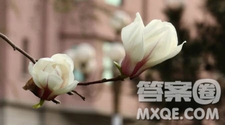 咱们学生有力量为题作文600字 关于咱们学生有力量为题目的作文600字