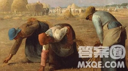 纪录片拾穗者观后感1000字 关于拾穗者纪录片观后感1000字 纪录片拾穗者观后感1000字 关于拾穗者纪录片观后感1000字