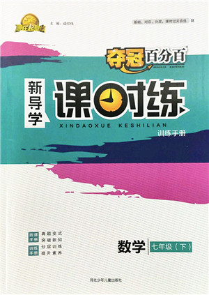 河北少年儿童出版社2022夺冠百分百新导学课时练七年级数学下册人教版云南专版答案