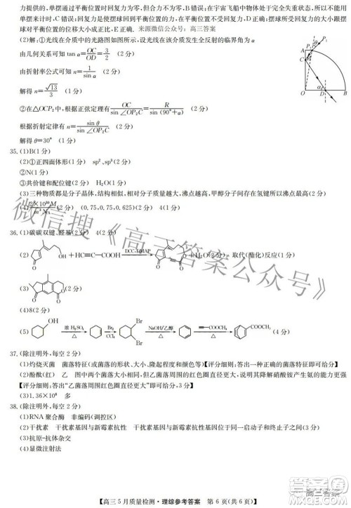2022九师联盟高三5月质量检测理科综合试题及答案 2022九师联盟高三5月质量检测理科综合试题及答案