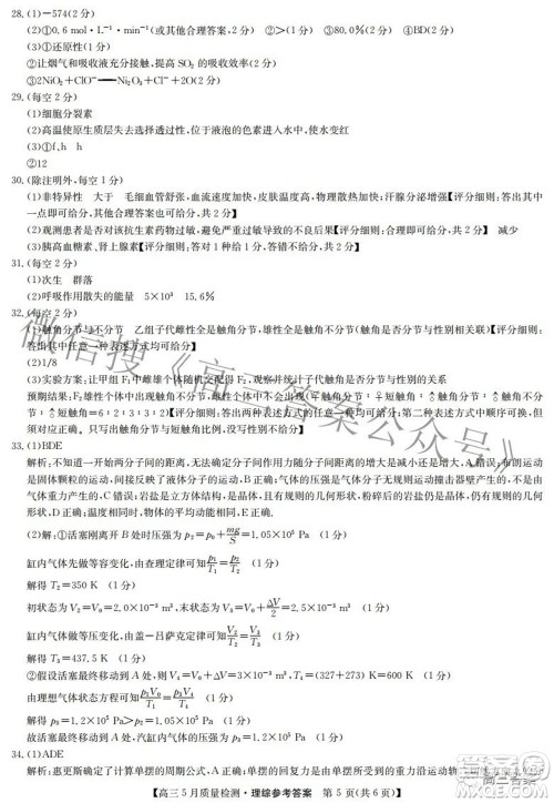 2022九师联盟高三5月质量检测理科综合试题及答案 2022九师联盟高三5月质量检测理科综合试题及答案