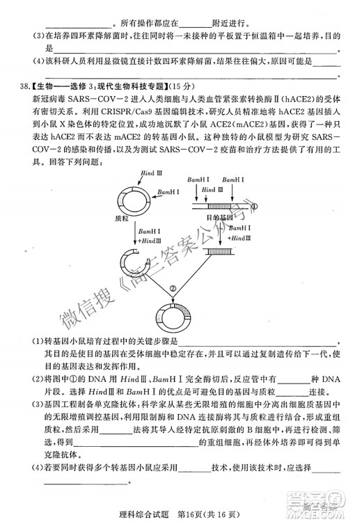 2022年5月湘豫名校联考高三理科综合试题及答案