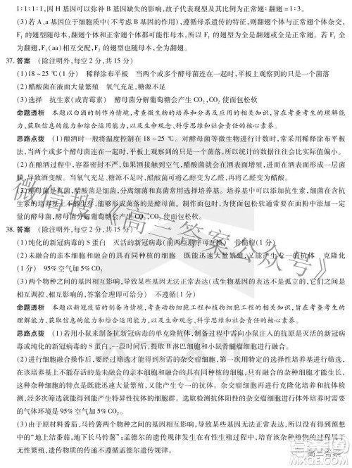 天一大联考顶尖计划2022届高中毕业班第四次考试理科综合试题及答案