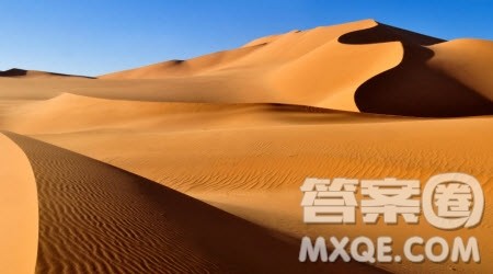 多一点耐心作文600字 以多一点耐心为题的作文600字