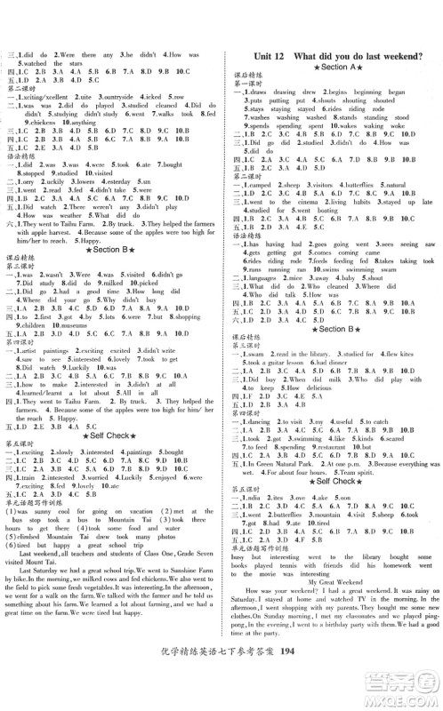 新疆文化出版社2022优学精练七年级英语下册人教版答案