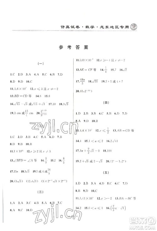 延边人民出版社2022仿真试卷数学通用版龙东地区专版参考答案