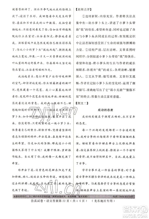 延边人民出版社2022仿真试卷语文通用版龙东地区专版参考答案