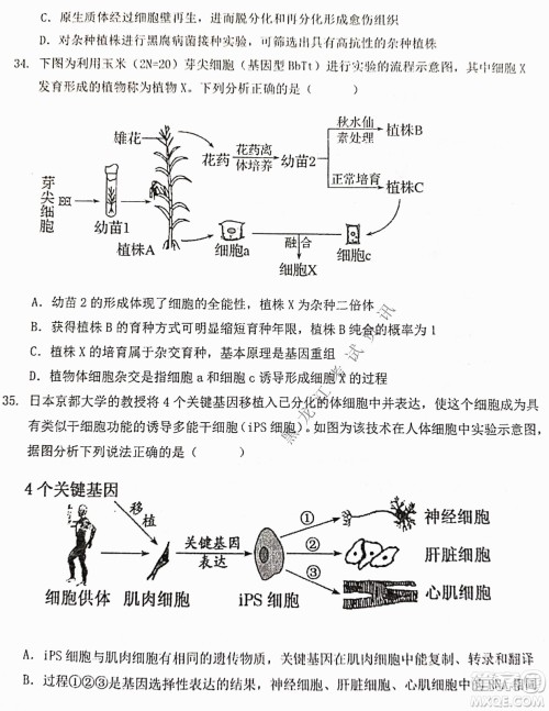 大庆实验中学实验一部2020级高二下学期期中考试生物试题及答案