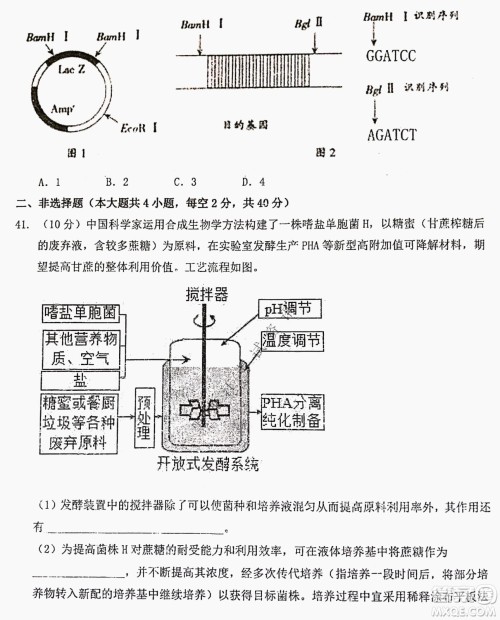 大庆实验中学实验一部2020级高二下学期期中考试生物试题及答案