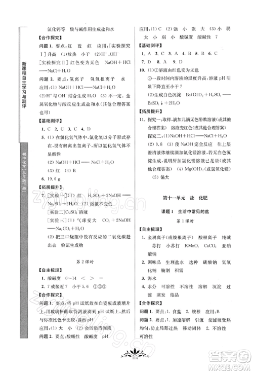 南京师范大学出版社2022新课程自主学习与测评九年级下册化学人教版参考答案