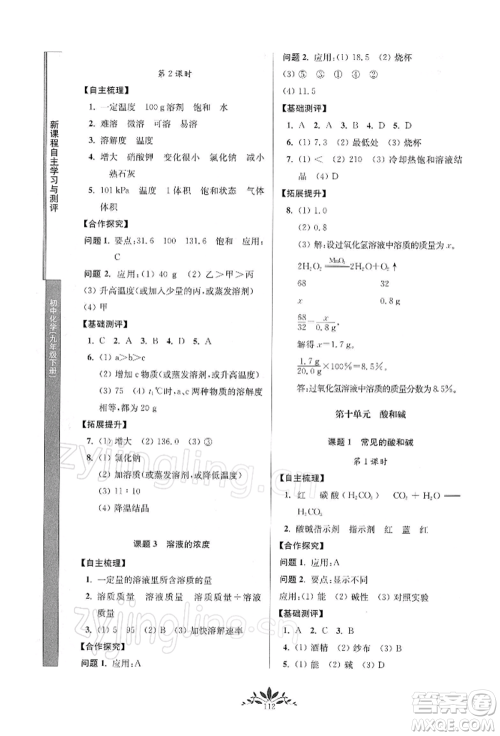 南京师范大学出版社2022新课程自主学习与测评九年级下册化学人教版参考答案