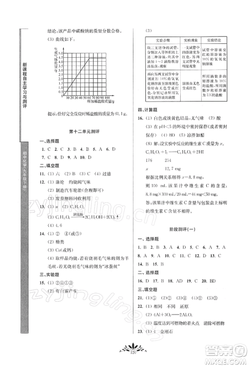 南京师范大学出版社2022新课程自主学习与测评九年级下册化学人教版参考答案