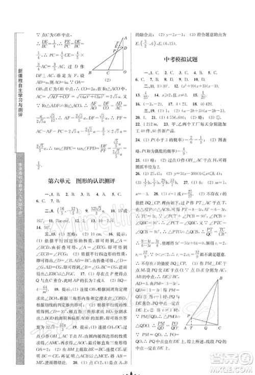 南京师范大学出版社2022新课程自主学习与测评九年级下册数学人教版参考答案