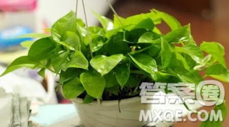 ___启迪了我为题作文600字 以___启迪了我为题的作文600字 ___启迪了我为题作文600字 以___启迪了我为题的作文600字