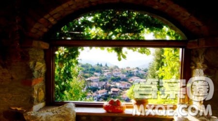 向阳而生为题作文600字 关于向阳而生为题目的作文600字 向阳而生为题作文600字 关于向阳而生为题目的作文600字