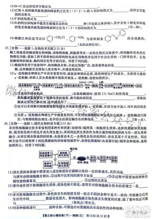 九师联盟2021-2022学年高三核心模拟卷下三理科综合试题及答案 九师联盟2021-2022学年高三核心模拟卷下三理科综合试题及答案