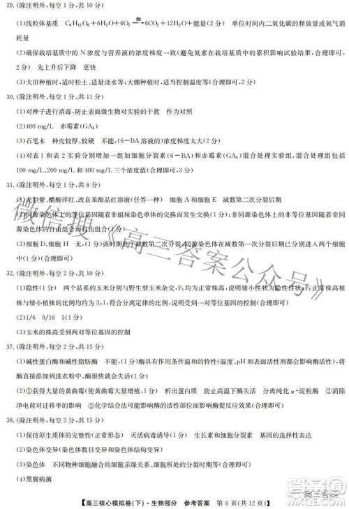 九师联盟2021-2022学年高三核心模拟卷下三理科综合试题及答案 九师联盟2021-2022学年高三核心模拟卷下三理科综合试题及答案