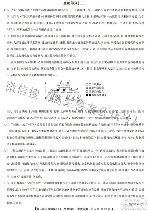 九师联盟2021-2022学年高三核心模拟卷下三理科综合试题及答案 九师联盟2021-2022学年高三核心模拟卷下三理科综合试题及答案