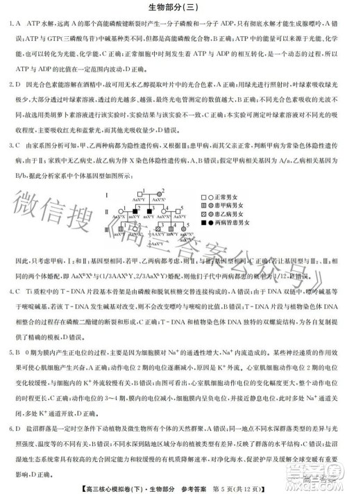 九师联盟2021-2022学年高三核心模拟卷下三理科综合试题及答案