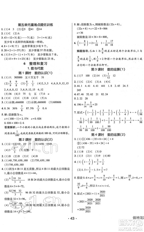 新疆青少年出版社2022同行课课100分过关作业六年级数学下册RJ人教版答案