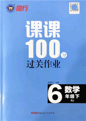 新疆青少年出版社2022同行课课100分过关作业六年级数学下册RJ人教版答案