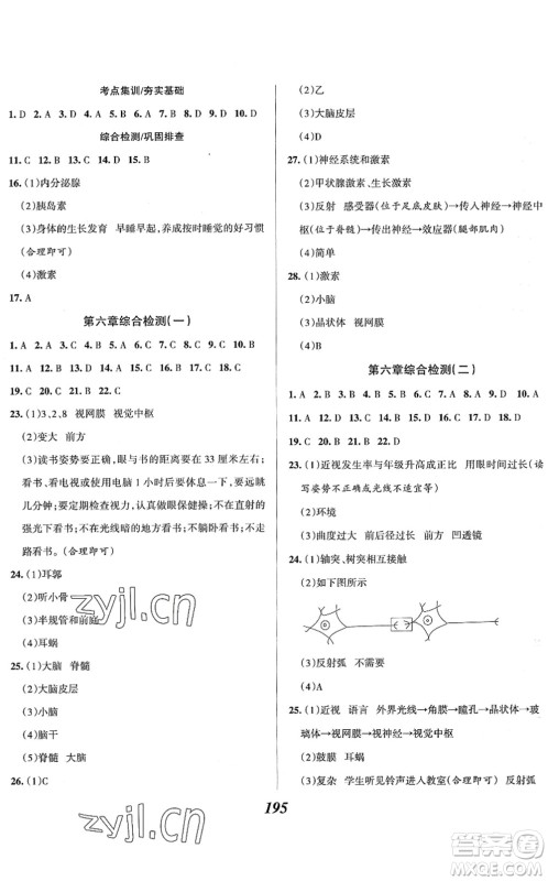 河北美术出版社2022全优课堂考点集训与满分备考七年级生物下册人教版答案 河北美术出版社2022全优课堂考点集训与满分备考七年级生物下册人教版答案