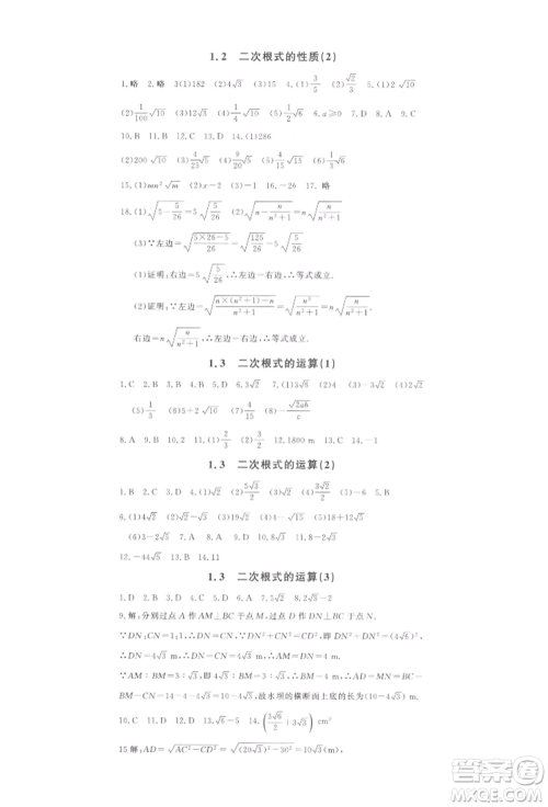 花山文艺出版社2022学科能力达标初中生100全优卷八年级下册数学浙教版参考答案