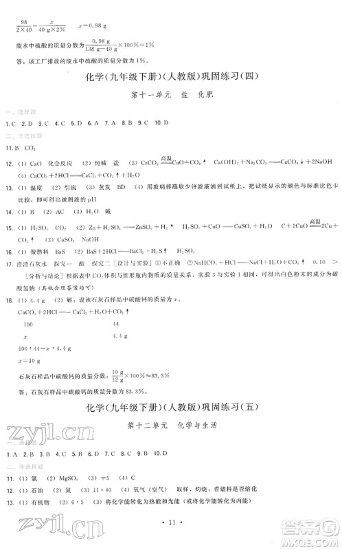 福建人民出版社2022顶尖课课练九年级化学下册人教版答案