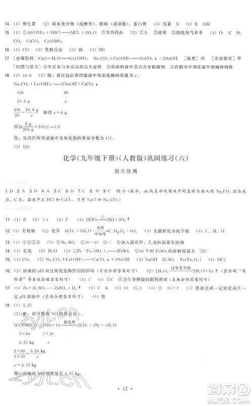 福建人民出版社2022顶尖课课练九年级化学下册人教版答案