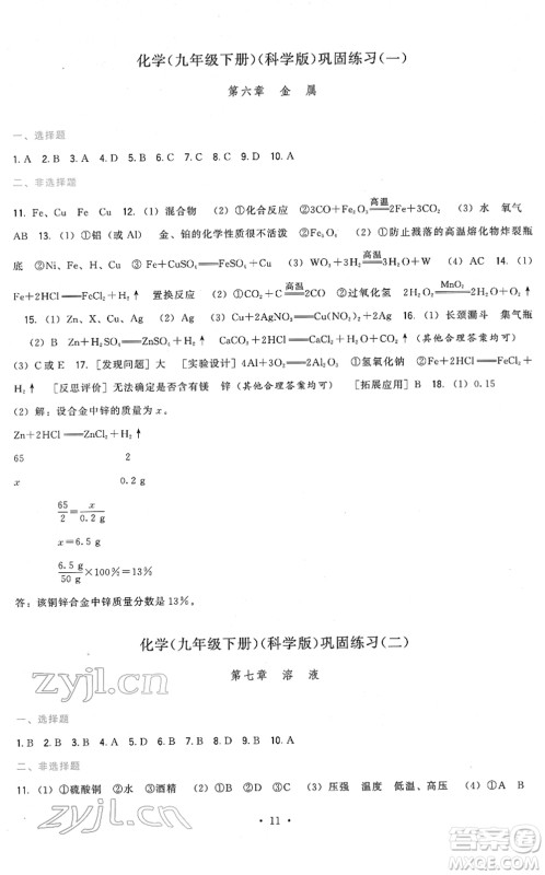 福建人民出版社2022顶尖课课练九年级化学下册科学版答案 福建人民出版社2022顶尖课课练九年级化学下册科学版答案