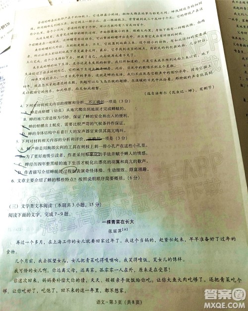 2022届3+3+3高考备考诊断性联考卷三语文试题及答案