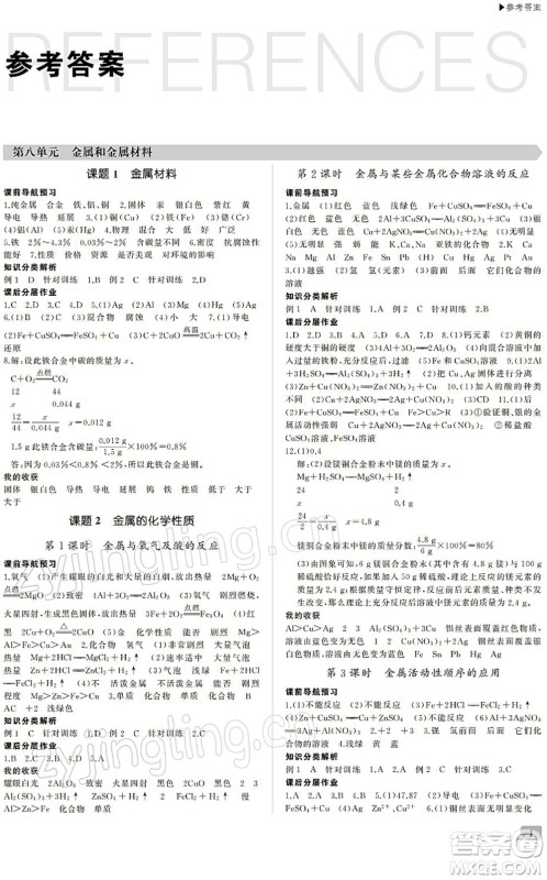 内蒙古大学出版社2022超越训练九年级化学下册R人教版答案