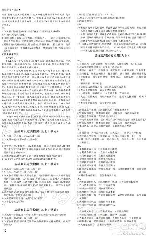 内蒙古大学出版社2022超越中考九年级语文下册人教版答案