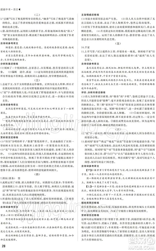 内蒙古大学出版社2022超越中考九年级语文下册人教版答案