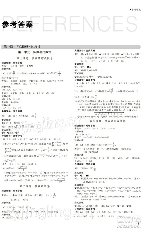 内蒙古大学出版社2022超越中考九年级数学下册人教版答案