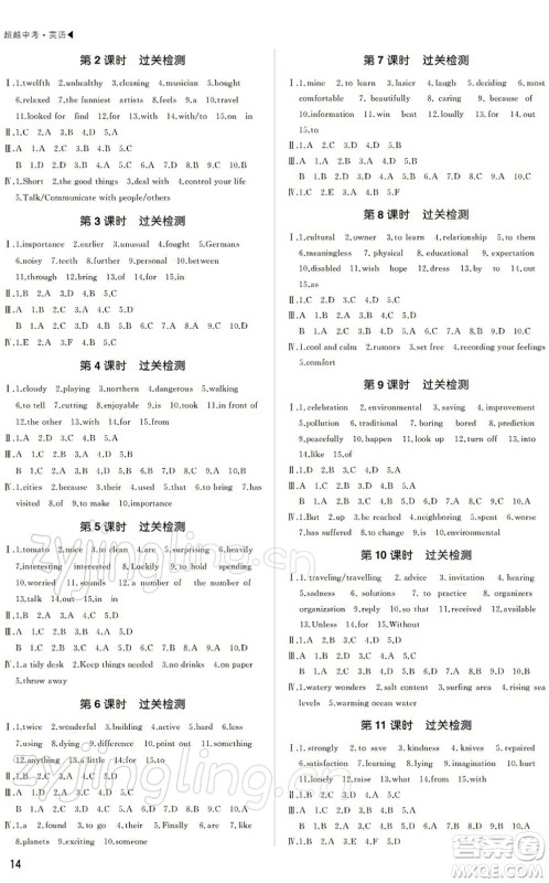 内蒙古大学出版社2022超越中考九年级英语下册人教版答案