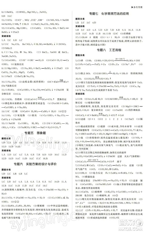 内蒙古大学出版社2022超越中考九年级化学下册人教版答案