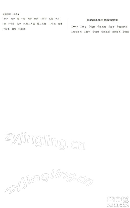 内蒙古大学出版社2022超越中考九年级生物下册人教版绵阳专版答案 内蒙古大学出版社2022超越中考九年级生物下册人教版绵阳专版答案