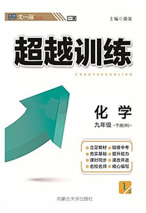 内蒙古大学出版社2022超越训练九年级化学下册R人教版答案