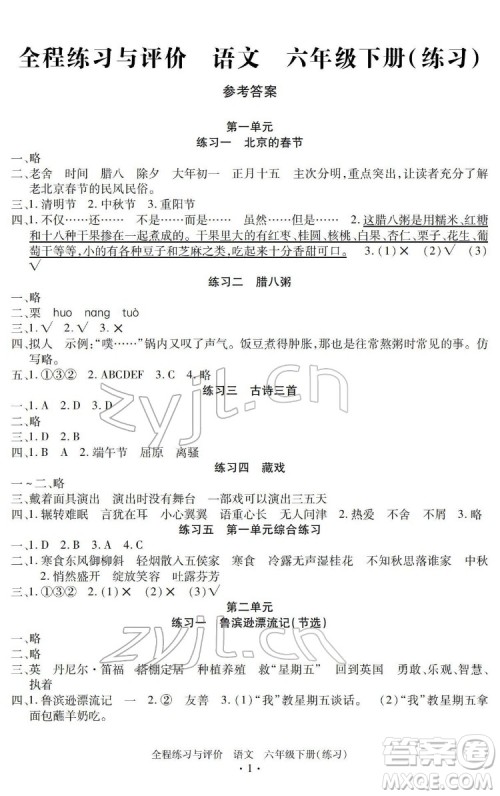 浙江人民出版社2022全程练习与评价六年级下册语文人教版答案