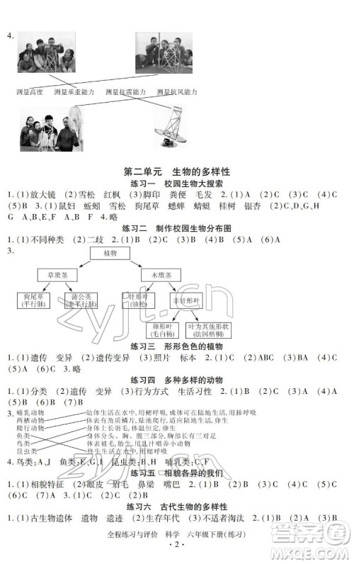 浙江人民出版社2022全程练习与评价六年级下册科学教科版答案