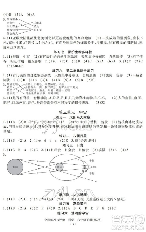 浙江人民出版社2022全程练习与评价六年级下册科学教科版答案