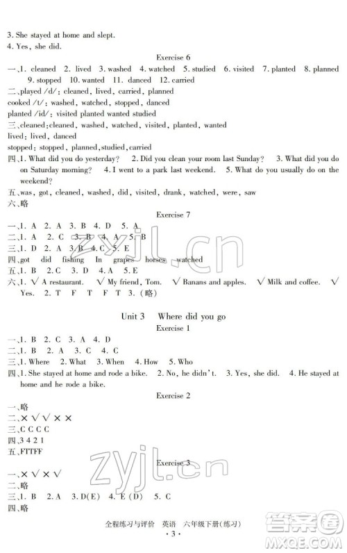 浙江人民出版社2022全程练习与评价六年级下册英语人教版答案