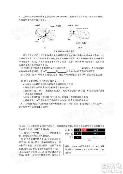 北京房山区2022年高考二模考试试卷高三生物学试题及答案