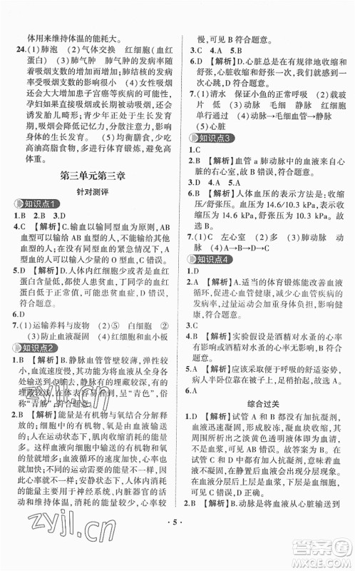 山东画报出版社2022一课三练单元测试七年级生物下册JN济南版答案